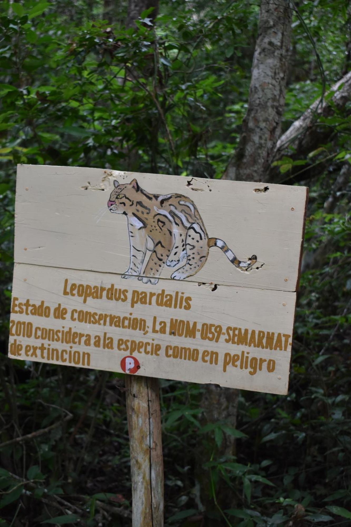 Villa Eco Aldea Kinich Ahau Xpujil Esterno foto